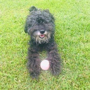 Meet your Posher, Melanie